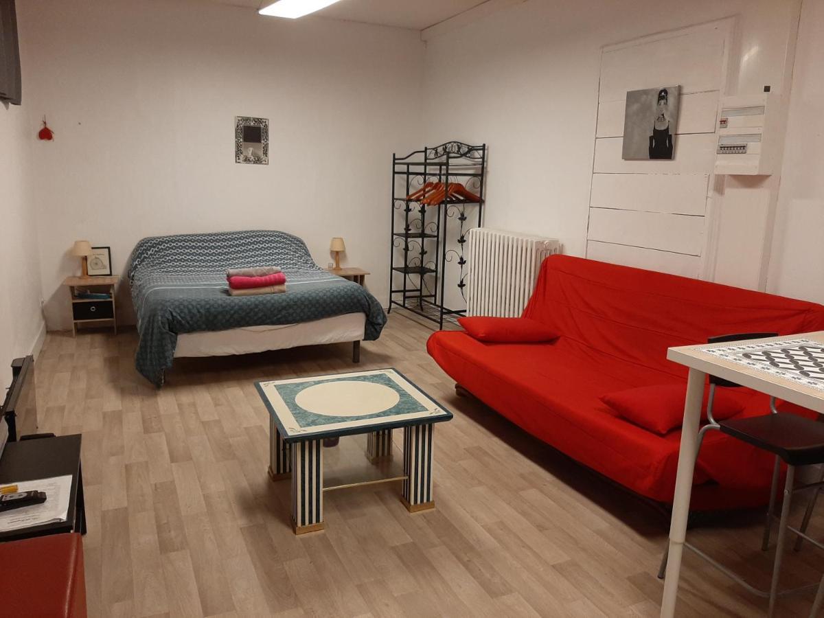 Studio 35M2 Terrasse Et Jardin Quartier Calme Au Centre Ville De 루르드 외부 사진